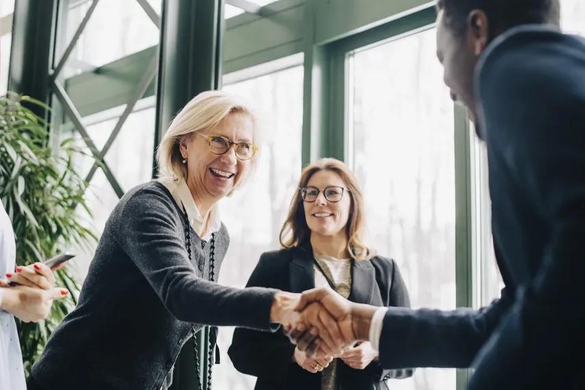 erp sales mobility