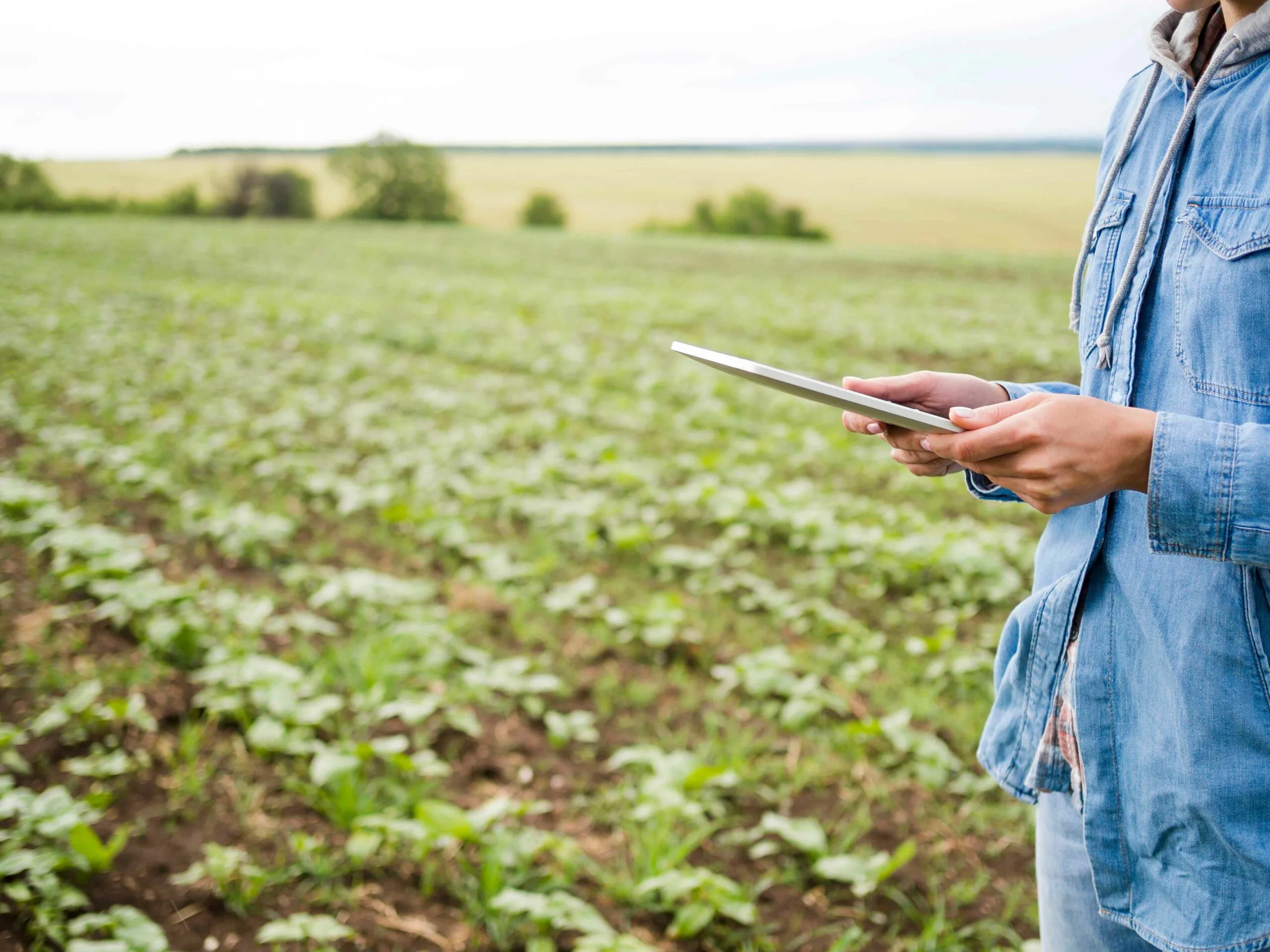 Programa de Nóminas para el Sector Agrario
